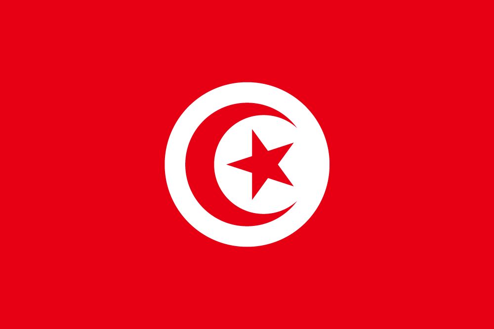 Tunisian Flag - Dedicated Server in Tunisia